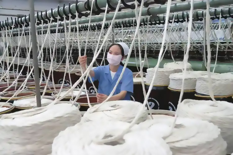 New environmentally friendly yarn leads the trend of green fashion